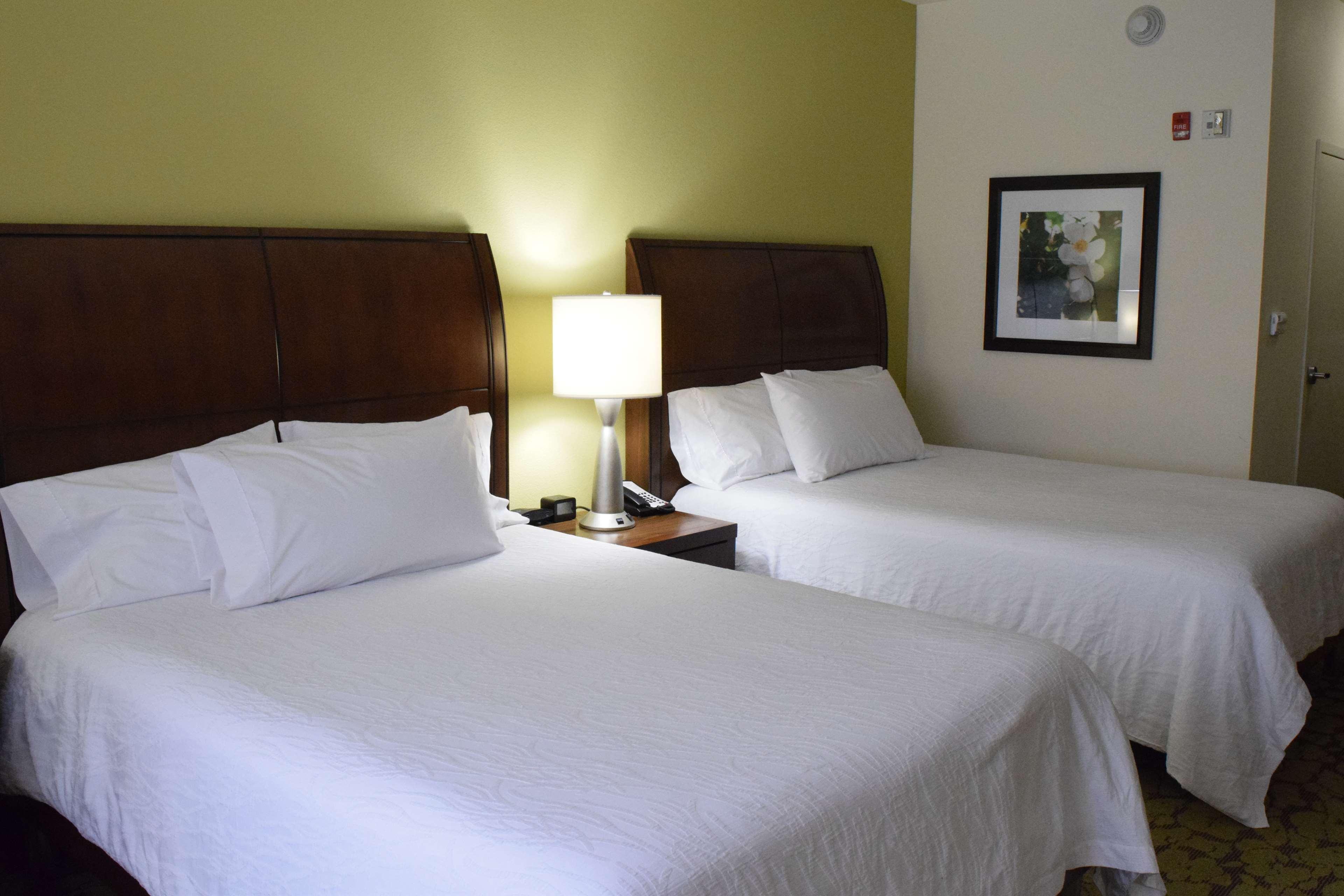 Hilton Garden Inn Rochester Downtown, Ny Dış mekan fotoğraf